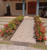 Jardim