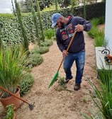 Limpeza Terreno