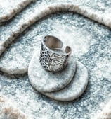 a ring with a silver ring on top of a stone