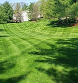 rolling hills on lawn