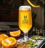 a glass of beer with oranges and seeds