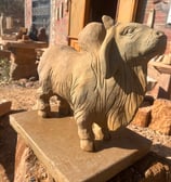 toro piedra