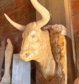 toro Piedra Barichara