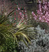 les jardins