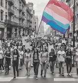 A large group of people are gathered, holding colorful signs advocating for transgender rights. The participants are bundled in winter clothing, and many are wearing hats or scarves. The signs display various slogans such as 'Trans Rights Now' and 'Trans Rights are Human Rights', reflecting a strong message of inclusivity and activism.