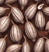 cocoa pod