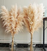 Drie Flower