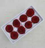 Preserved Flower