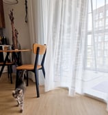 dieninės užuolaidos su katinu