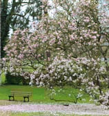 Pavillon des arquebusiers Dole