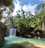 Kawasan Falls Canyoneering Cebu Philippines 