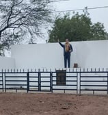 Statue of B R Ambedkar