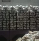 PRODUKSEN INTIP SEMARANG