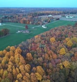 Aerial view of a large field with scattered houses, surrounded by a canopy of autumn-colored trees i