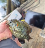 fishing guide