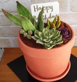 Subiaco Birthday Cake