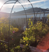 garden inspiration_1