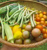 garden inspiration_6