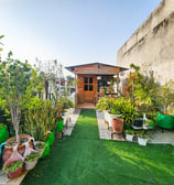 Lush rooftop garden with vibrant greenery and a cozy wooden cabin.