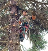 Fred Arborize