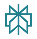 Perpllexity AI