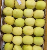 Apricot Pakistan