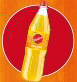 Sinalco Orange PET MW 0,5L