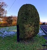 Hedge Cutting in Longdon, Tewkesbury