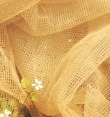 SthayiVastra Organic clothing in India Next startup by RisingIndia India's first venture studio 