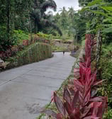 Akses jalan rabat lebar 6 meter