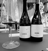 Cata de vino en Sevilla 4
