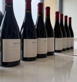 Cata de vino en Sevilla 6