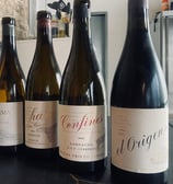 Cata de vino en Sevilla 3