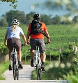 marathon, MTB, bike gravel, Florence by Bike: A Guided Tour of the City’s Highlights