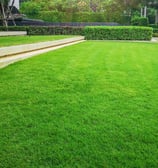 Entretien de jardins DG Services à Neuchâtel - tonte, taille et aménagement paysager durable