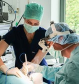 Les vétérinaires Marduel et Payen réalisent une opération ophtalmologique sur un chien