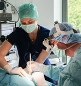 Les vétérinaires Marduel et Payen réalisent une opération ophtalmologique sur un chien
