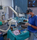 Le Dr Guzu sélectionne son matériel pour l'opération d'un chat
