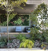 Andy Albright's living wall design