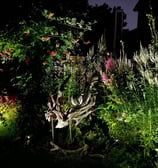 Andy Albright's garden design at night