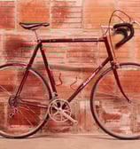 raleigh bisiklet