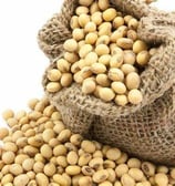 a bag of soy beans on a white background hamer candy