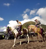 Kuda di lautan pasir Bromo