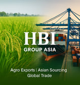 Marketing graphic for HBI Group Asia, showcasing verified exporters, agro trade programs, and smart trade infrastructure.
