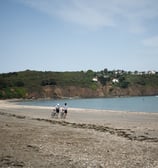 a couple of people riding bikes on a beach