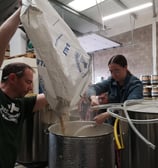 Brewer pouring malt into tank for a collaborative beer using pineapple weed