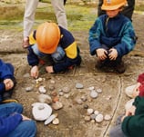 Children sorting rocks