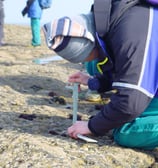 Students beach study