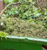Ramassage et Évacuation des Déchets Verts et Encombrants :