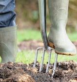Préparation des Potagers :